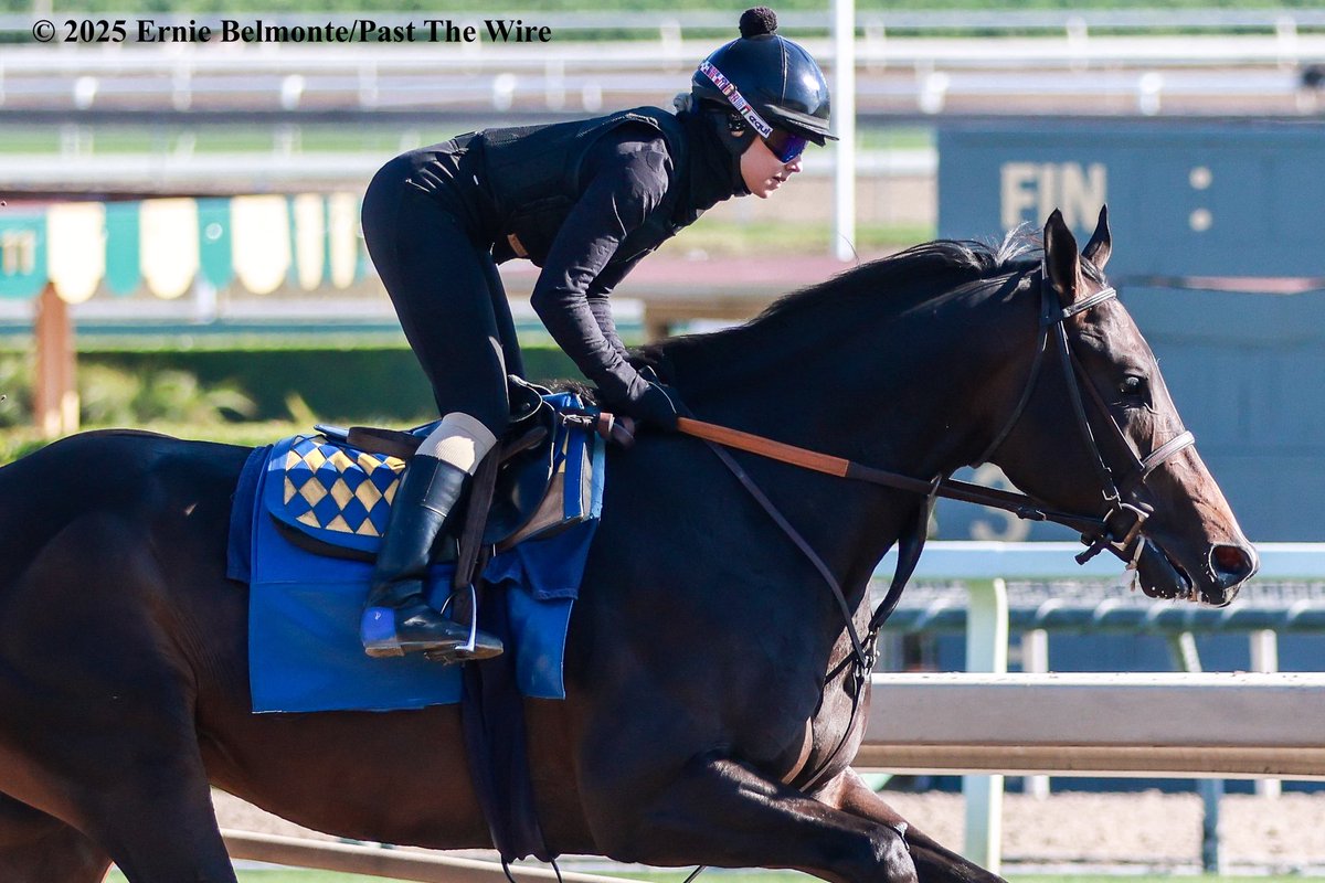 Nevada Beach galloping this morning.