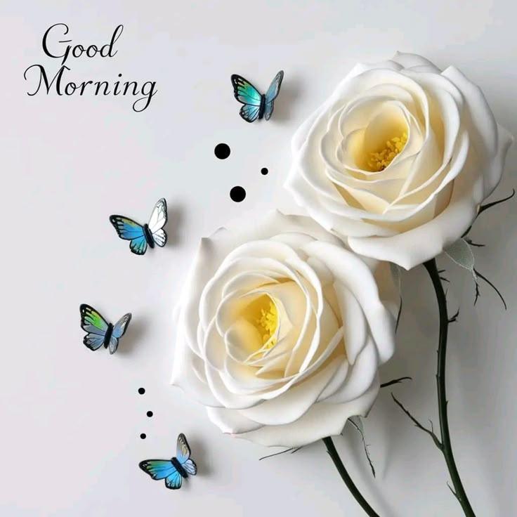 Happy morning dear friend 💞