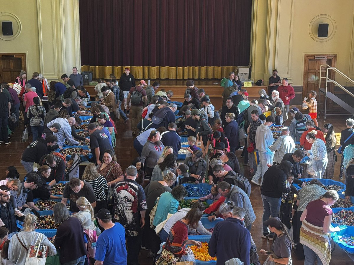 Such an amazing event. Lego, Lego, Lego. Sale is still on at Albury Hall  till 5pm.