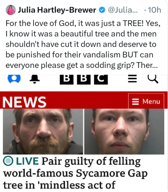 "It was just a tree!!!"

I'm old enough to remember when Julia Hardly-Sober went apoplectic over minor repairable damage to a statue of a person she hadn't even heard of ...