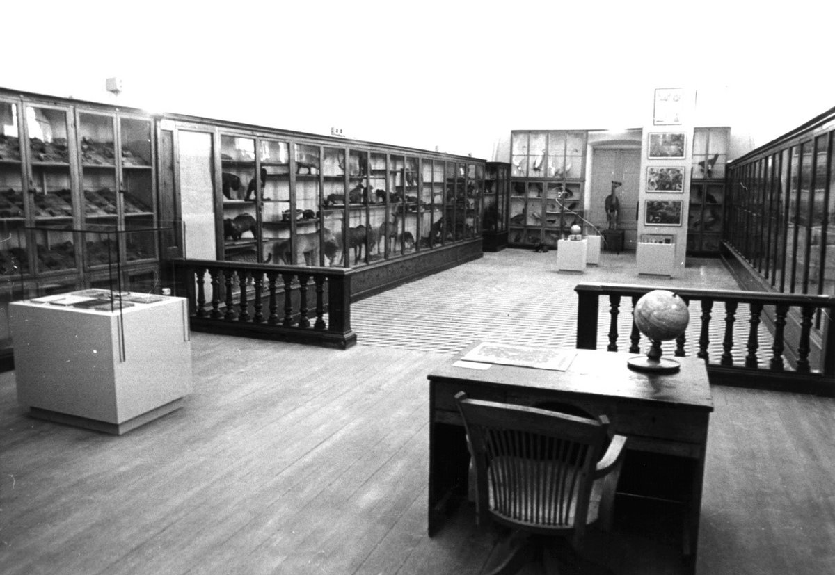 #Sabiesque  el <a href="/mhistoria_gi/">Museu d'Història de Girona</a> va ser una casa noble, un convent caputxí i un Institut abans de ser un museu?
Fou el primer Institut de #Girona  fins que s’inaugurà l’Institut Jaume Vicens Vives, a les Pedreres, l'any 1966. 
Els vincles amb el centre encara perduren.