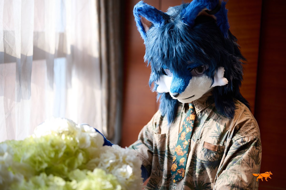 狗狗花💐
📷：<a href="/aaaapoor3/">阿穷摄摄版</a>