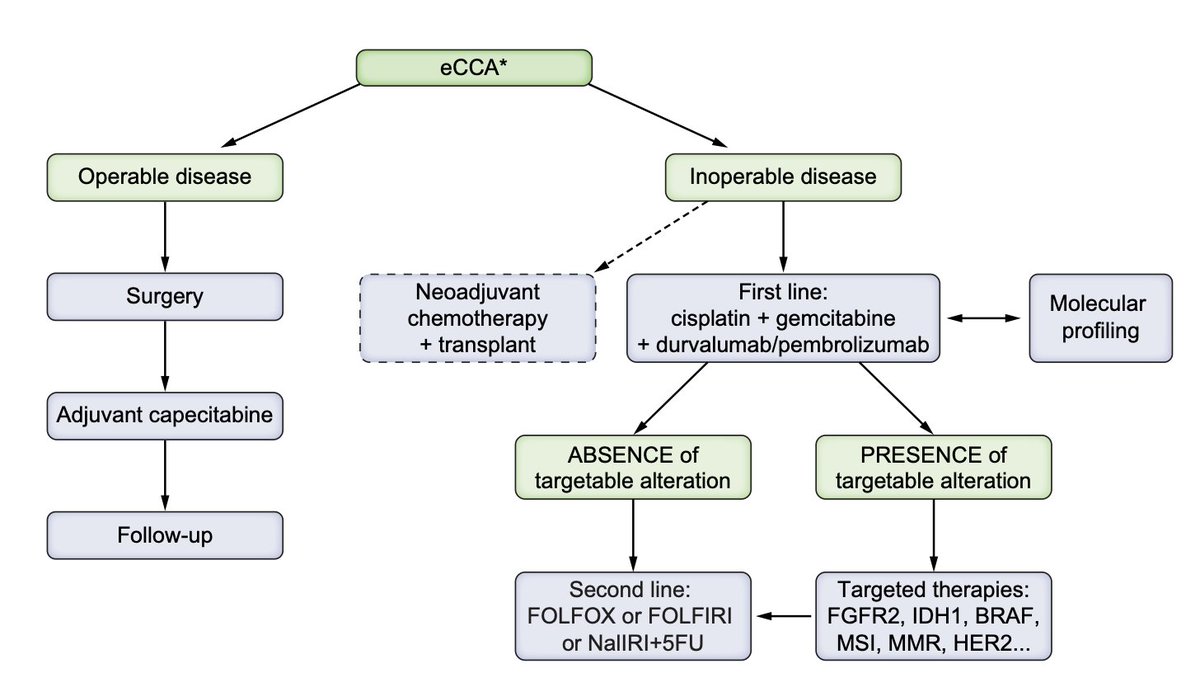 Arndt Vogel (@arndtvogel) on Twitter photo 🔥EASL Clinical Practice Guidelines on the management of extrahepatic cholangiocarcinoma🔥
<a href="/JHepatology/">Journal of Hepatology</a>
doi.org/10.1016/j.jhep…
👉get the lastest update on the diagnosis and management of eCCA
<a href="/myESMO/">ESMO - Eur. Oncology</a> <a href="/EASLedu/">EASL Education</a> <a href="/ILCAnews/">ILCA</a> #livertwitter 🔥EASL Clinical Practice Guidelines on the management of extrahepatic cholangiocarcinoma🔥
<a href="/JHepatology/">Journal of Hepatology</a>
doi.org/10.1016/j.jhep…
👉get the lastest update on the diagnosis and management of eCCA
<a href="/myESMO/">ESMO - Eur. Oncology</a> <a href="/EASLedu/">EASL Education</a> <a href="/ILCAnews/">ILCA</a> #livertwitter