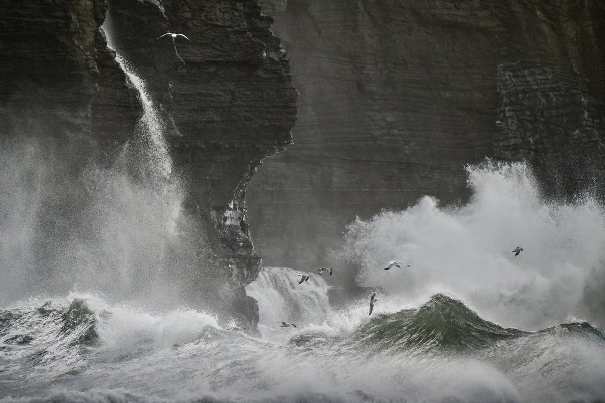 _EFarrellPhoto's tweet image. Big seas and gulls at the #cliffsofmoher #doolin #coclare #Ireland Have a closer look landscape and large. 😀

I’ll be at Ballyvaughan Art and Craft market tomorrow 10-4pm. 

Otherwise … 
⬇️
elainefarrellphotography.com