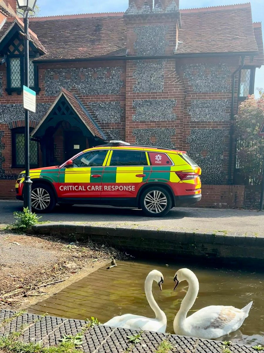 TVAirAmb's tweet image. Our crew spotted two swans showing their love to one of our Critical Care Response Vehicles in #Marlow recently 🦢
Did you know that alongside our helicopter, we have five critical care response vehicles fitted with the same advanced medical equipment?🚗