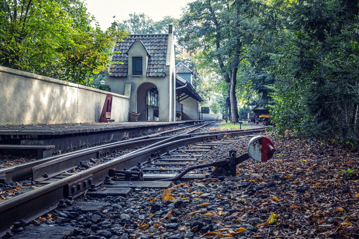 Theme Park Science tweet media