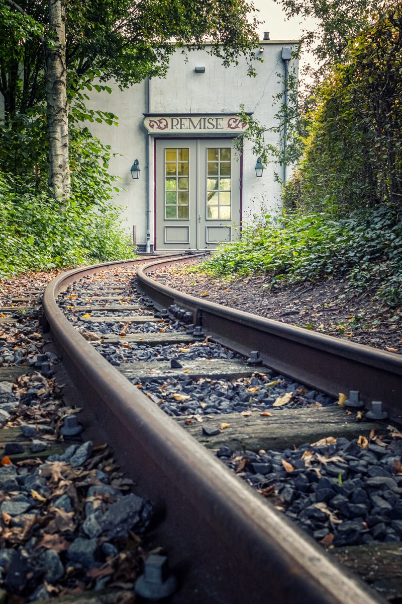 Theme Park Science tweet media