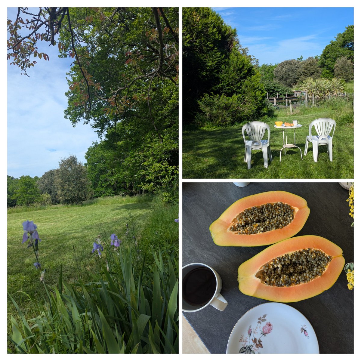 SimonaSerban_'s tweet image. Discovered papaya during #Devcon and been in love with it ever since.
Mornings are the best time of the day for me. Taking time to reflect on my journey so far &amp;amp; looking ahead at the exciting things to come.
Obviously @ETHCluj is very high on my &apos;things to look forward to&apos; list☀️