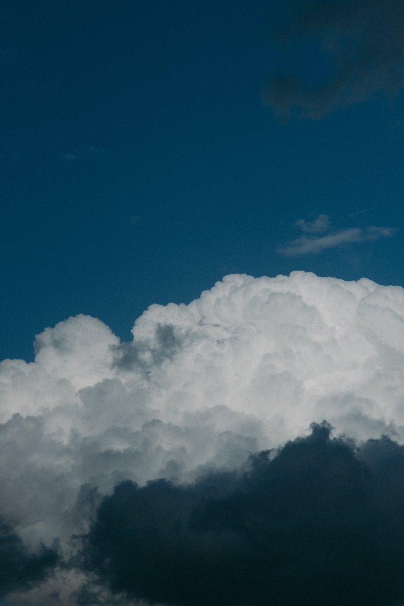 akimoto_0109's tweet image. in the life.