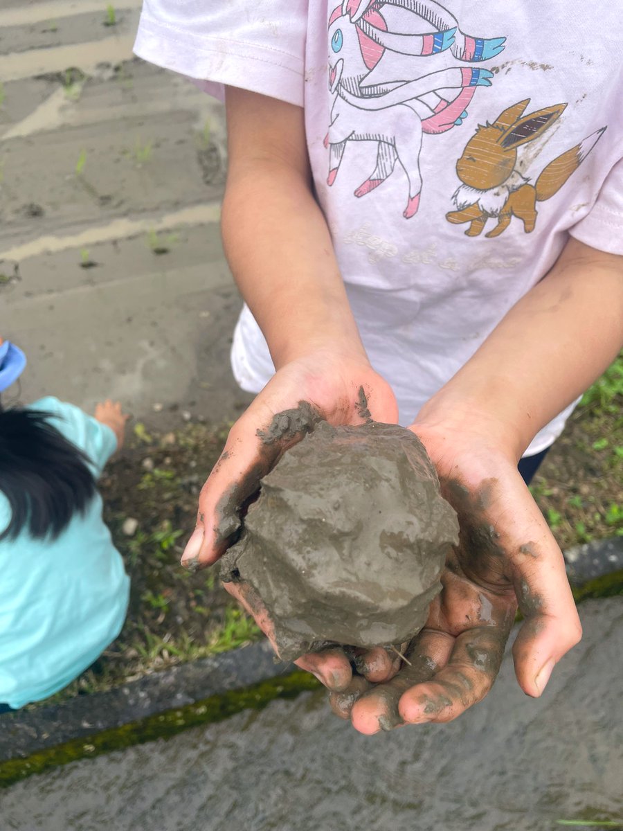 今日は朝から田植えして、泥団子を作りまくり、サワガニを捕まえてました
