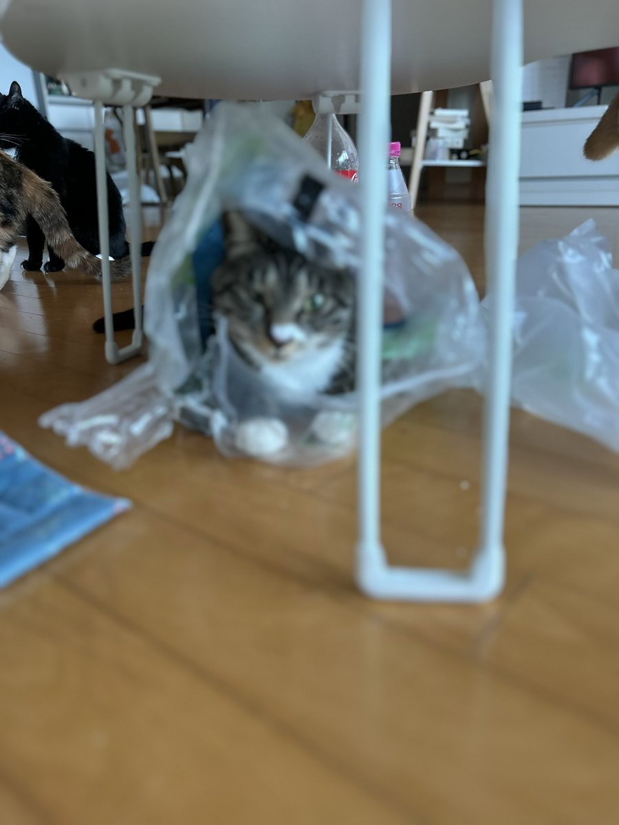 booboboh's tweet photo. @NorthSt27855879 모든게 놀이기구에요 https://t.co/N8FkgBSP7O