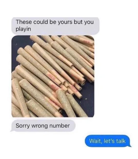 Stoner Turtle (@solrac003) on Twitter photo 