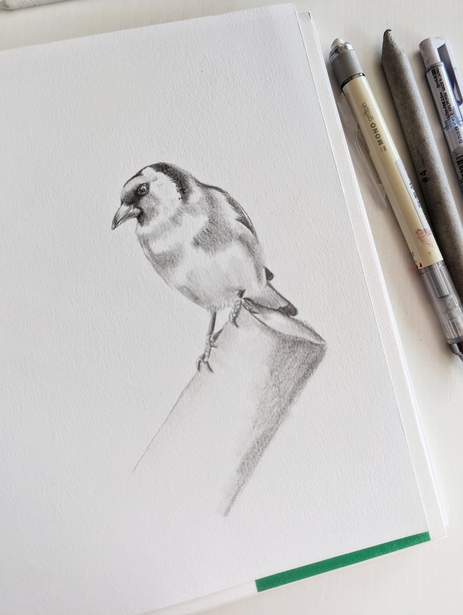 Onmeunig veel zin om weer eens veel met potlood te gaan werken de komende tijd.

Ik was totaal vergeten hoe ontspannen ik daar van word 🧘‍♀️