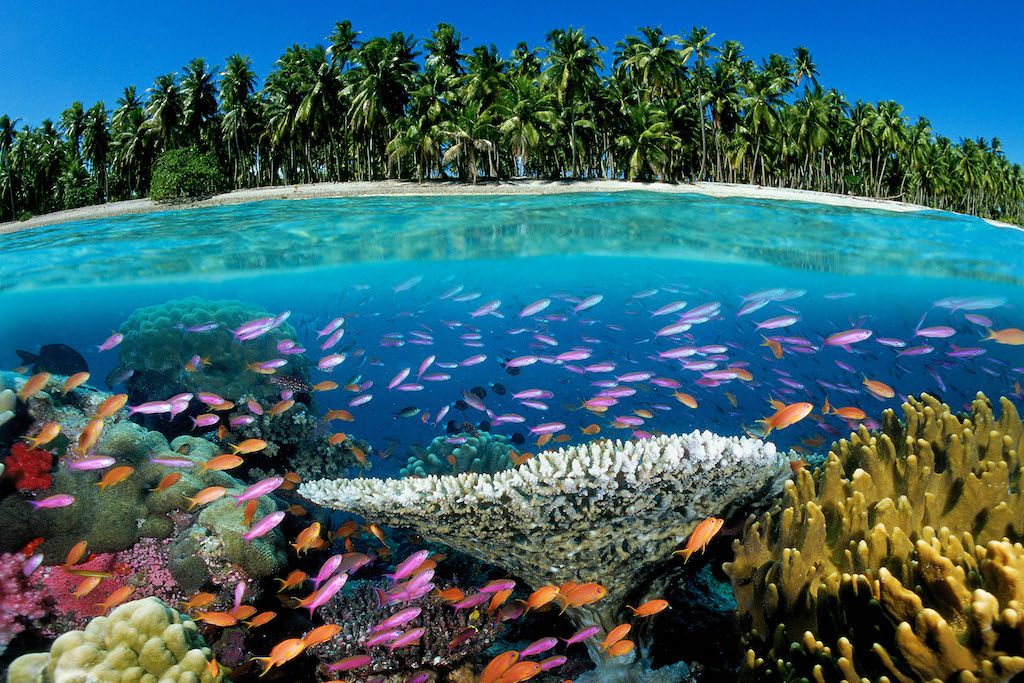 Carbon Brief (@carbonbrief) on Twitter photo Explainer: Can the world ‘halt and reverse’ biodiversity loss by 2030? | <a href="/daisydunnesci/">Daisy Dunne</a> w/ comment from <a href="/Pettorelli/">Nathalie Pettorelli</a> <a href="/EJMilnerGulland/">EJ Milner-Gulland</a> <a href="/dobura/">David Obura</a> #CBarchive
Read here: bit.ly/41dLhoT Explainer: Can the world ‘halt and reverse’ biodiversity loss by 2030? | <a href="/daisydunnesci/">Daisy Dunne</a> w/ comment from <a href="/Pettorelli/">Nathalie Pettorelli</a> <a href="/EJMilnerGulland/">EJ Milner-Gulland</a> <a href="/dobura/">David Obura</a> #CBarchive
Read here: bit.ly/41dLhoT