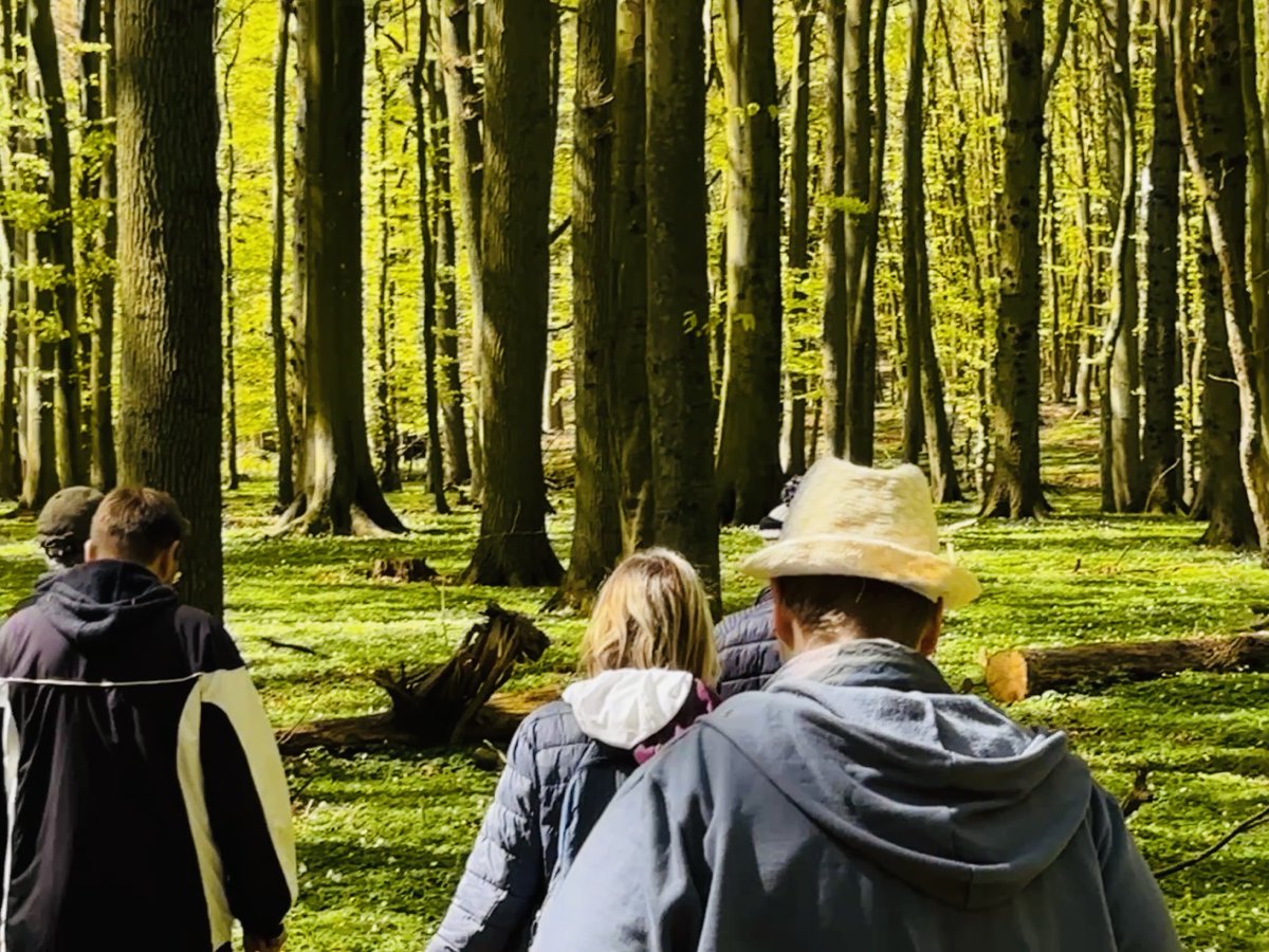 RuegenOutdoor's tweet photo. Was gibt es Neues? Wandern durch #Wald und #Wiesen ist gut für #Körper und #Seele - Auf der #Insel #Rügen gibt es neben den klassischen #Wandergebieten der #Stubnitz auf der #Halbinsel #Jasmund und im #Süden die ehem. #Grafschaft #Putbus / #Mönchgut auch #Westrügen https://t.co/6Wc504z4Zy