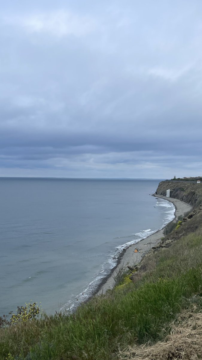 dim447's tweet image. Утреннее..