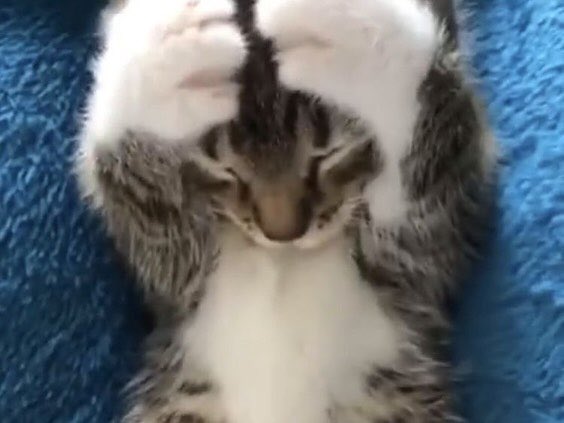 비 맞기 전과 후💦