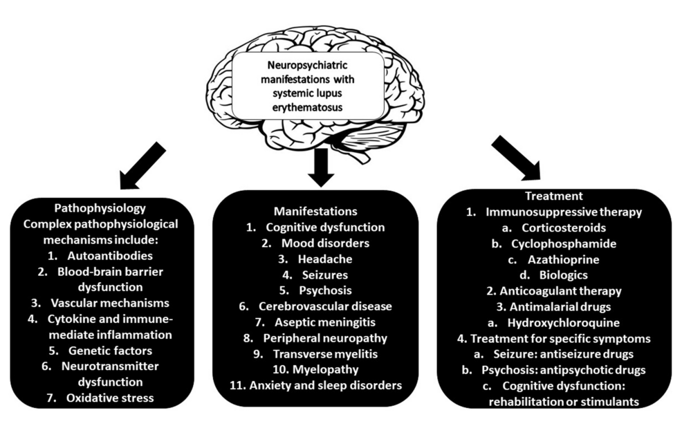 💜10 de Mayo #DiaMundialdelLupus
Una manifestación notable del sistema nervioso en el LES es el #Lupus neuropsiquiátrico . La frecuencia documentada de síntomas neurológicos  varía entre el 14 % y el 95 %, con mayor incidencia en niños que en adultos .
#LupusAwarenessMonth