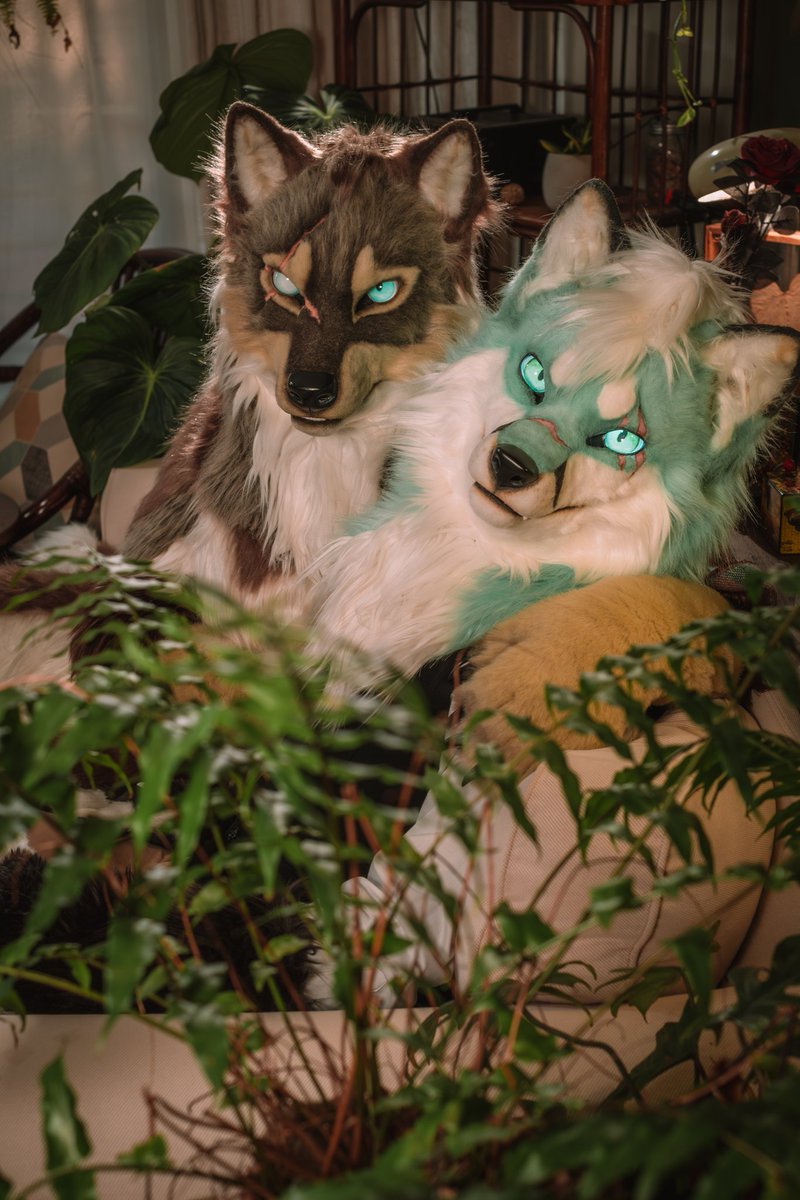 贊德 Xander (@xander0415) on Twitter photo 一樣有戰殤的底迪一起拍拍
🦊: <a href="/foxnakh/">Michael the JALAN TOL Fox 🔜 UTFG</a>
📸: <a href="/DD_Woof/">🐾ㄉㄉ🔜 UTFG</a>
🪡 <a href="/BeastFantasia/">Beast Fantasia Studio</a>
#FursuitFriday 一樣有戰殤的底迪一起拍拍
🦊: <a href="/foxnakh/">Michael the JALAN TOL Fox 🔜 UTFG</a>
📸: <a href="/DD_Woof/">🐾ㄉㄉ🔜 UTFG</a>
🪡 <a href="/BeastFantasia/">Beast Fantasia Studio</a>
#FursuitFriday