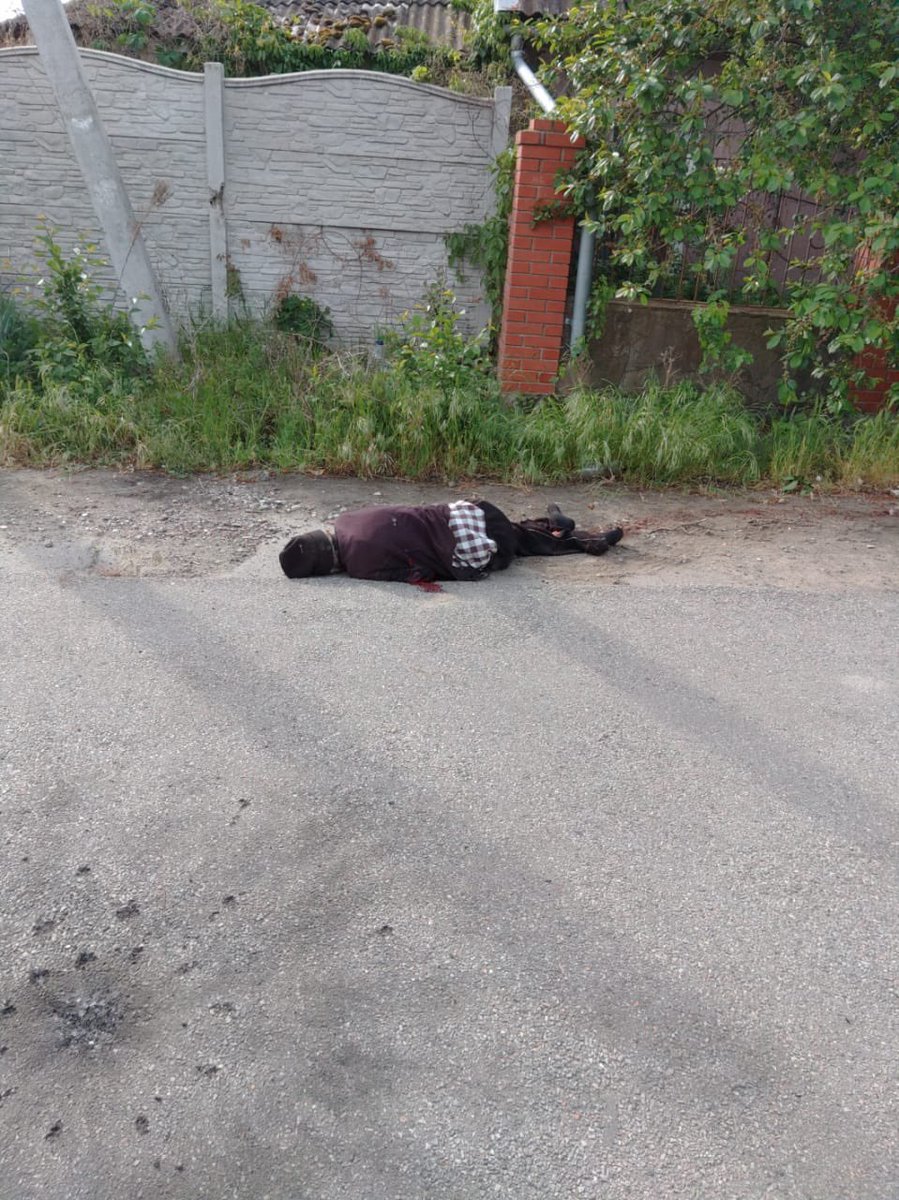🚨Kherson. Now.

This is an elderly man killed by a Russian drone by his house.

Human safari.

📷 Kherson residents.