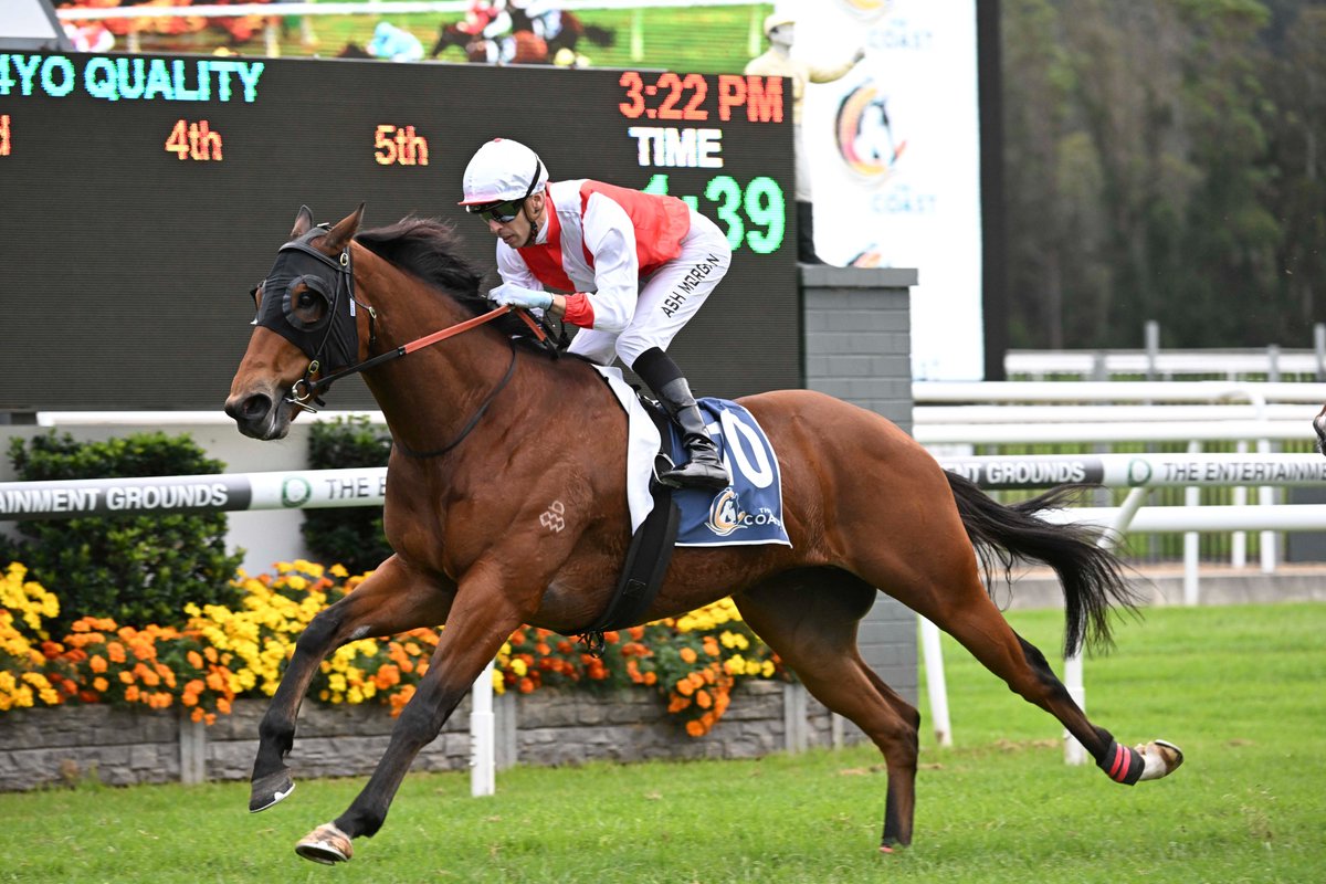 Inglis (@inglis_sales) on Twitter photo KNOW THYSELF (The Autumn Sun) makes it 4 in a row with victory in the Listed The Coast <a href="/gosford_races/">Gosford Race Club</a> for <a href="/Paulmessara/">Paul Messara</a> & <a href="/LGavranich/">Leah Gavranich</a>. The 4YO is a $300k #InglisEaster buy for <a href="/AWilliamsBldstk/">Andrew Williams</a> from <a href="/ArrowfieldStud/">Arrowfield Stud</a> KNOW THYSELF (The Autumn Sun) makes it 4 in a row with victory in the Listed The Coast <a href="/gosford_races/">Gosford Race Club</a> for <a href="/Paulmessara/">Paul Messara</a> & <a href="/LGavranich/">Leah Gavranich</a>. The 4YO is a $300k #InglisEaster buy for <a href="/AWilliamsBldstk/">Andrew Williams</a> from <a href="/ArrowfieldStud/">Arrowfield Stud</a>