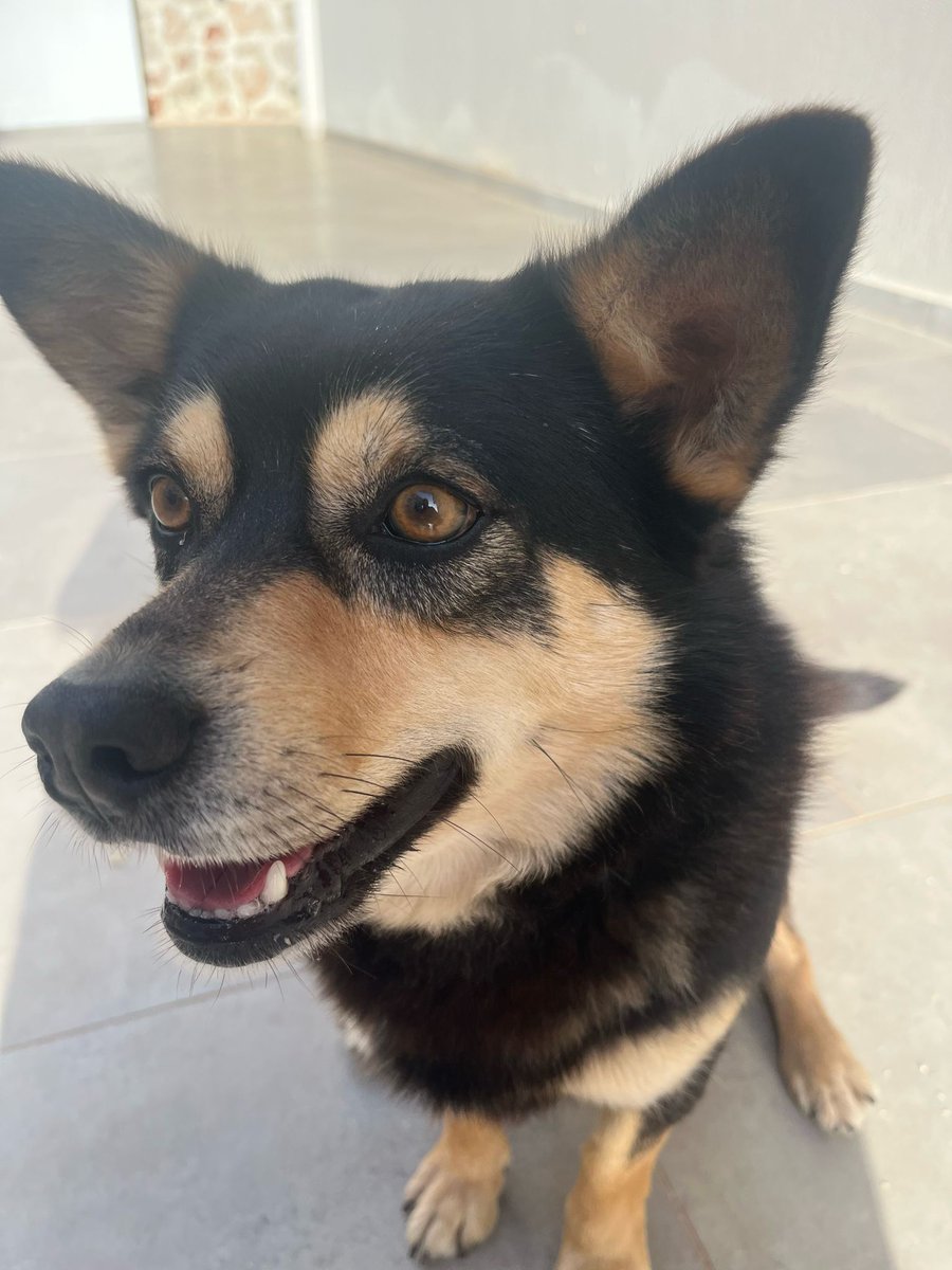 Is that a mfing jeet there?