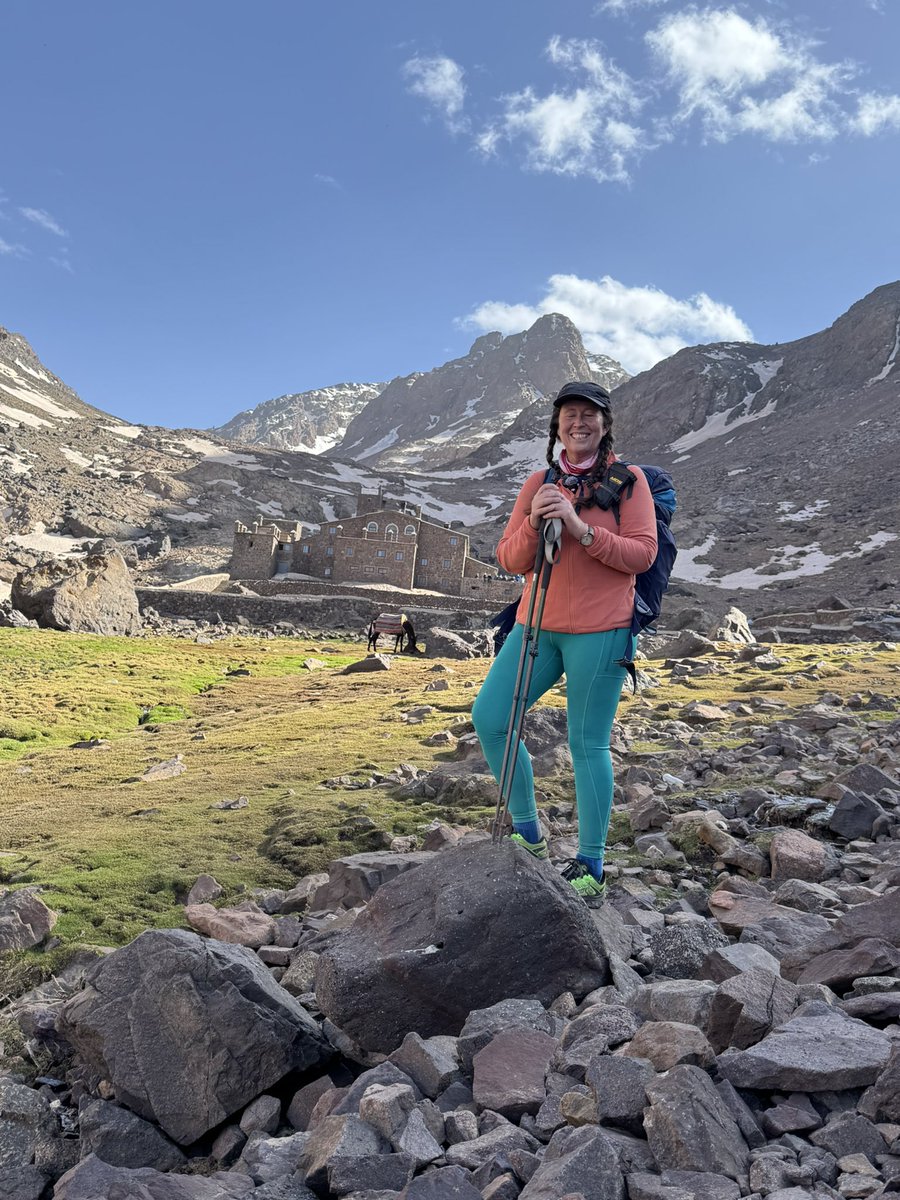 alice morrison tweet media