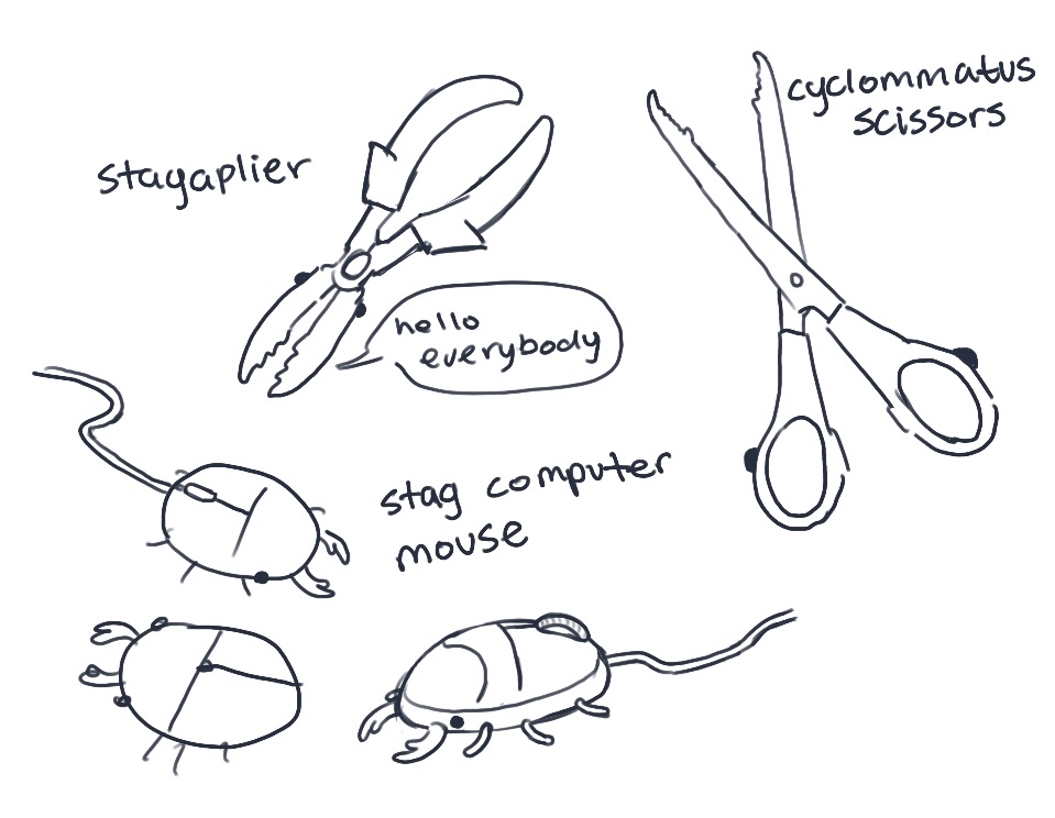webbsect's tweet image. beetle shaped things