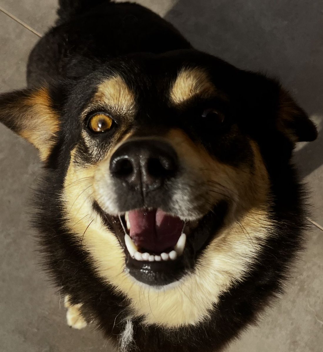 If you dont jeet on $JOEY we're gonna involve you in something big!