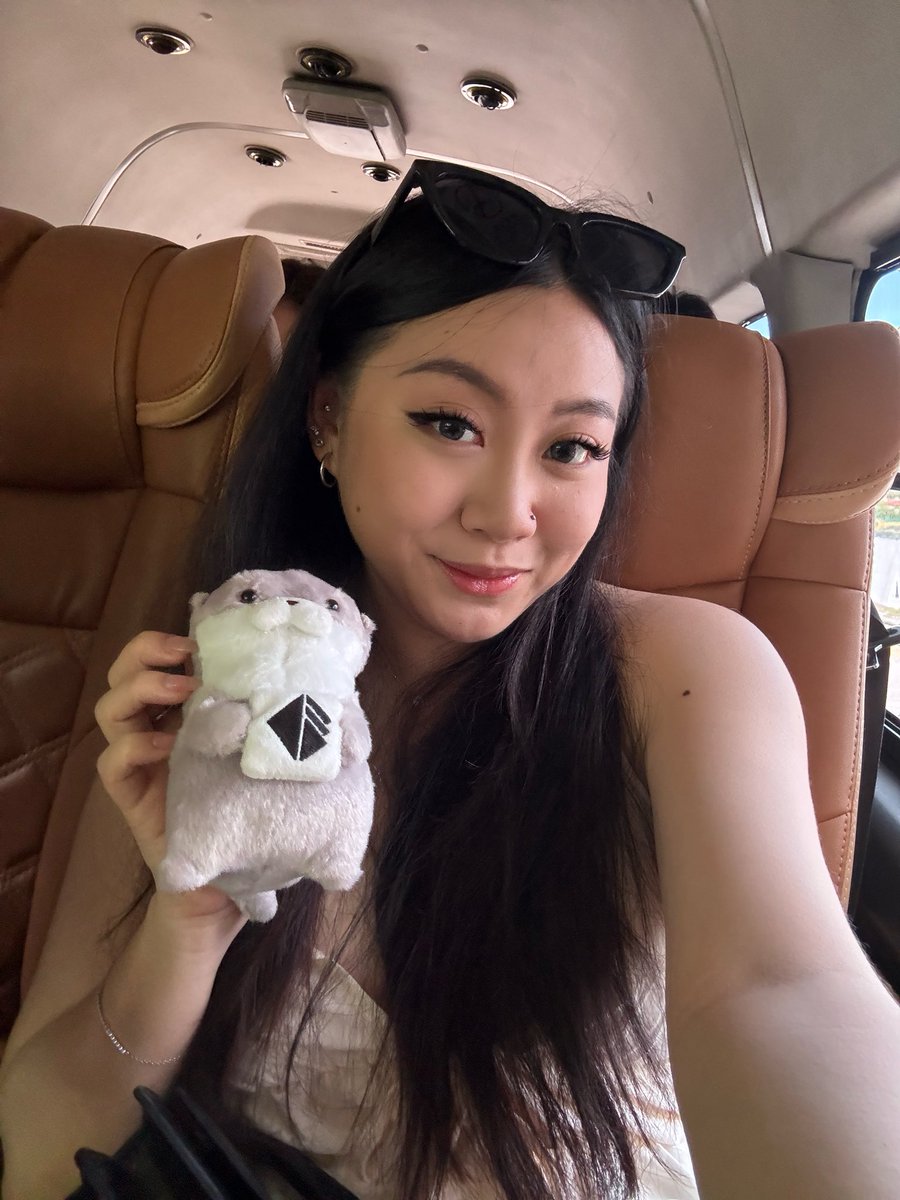 Tracy (@tracybbd) on Twitter photo gmeow gmeow