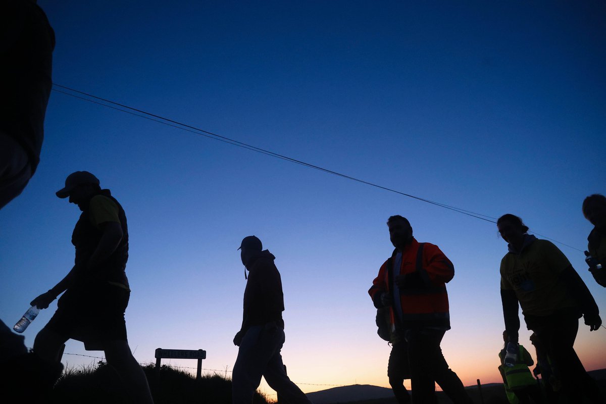 Mal McCann tweet media