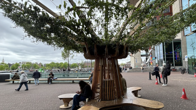 RTLZ's tweet photo. Amsterdam experimenteert met 'nepbomen' tegen groeiende hittestress https://t.co/rh4YNK066i https://t.co/1aLTvaiVaM