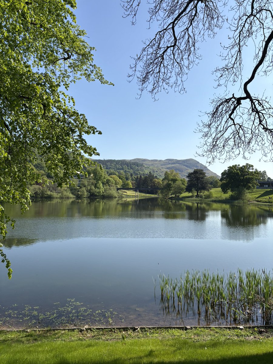 Dr David Johnson tweet media