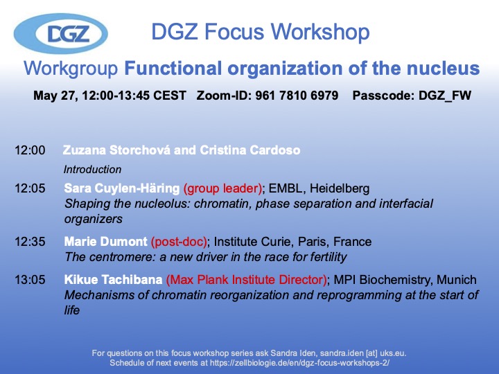 One year later, and we have another edition of the #DGZ_info focus workshop on functional organization of the nucleus. A great line up of speakers and timely topics. See you online on May 27.