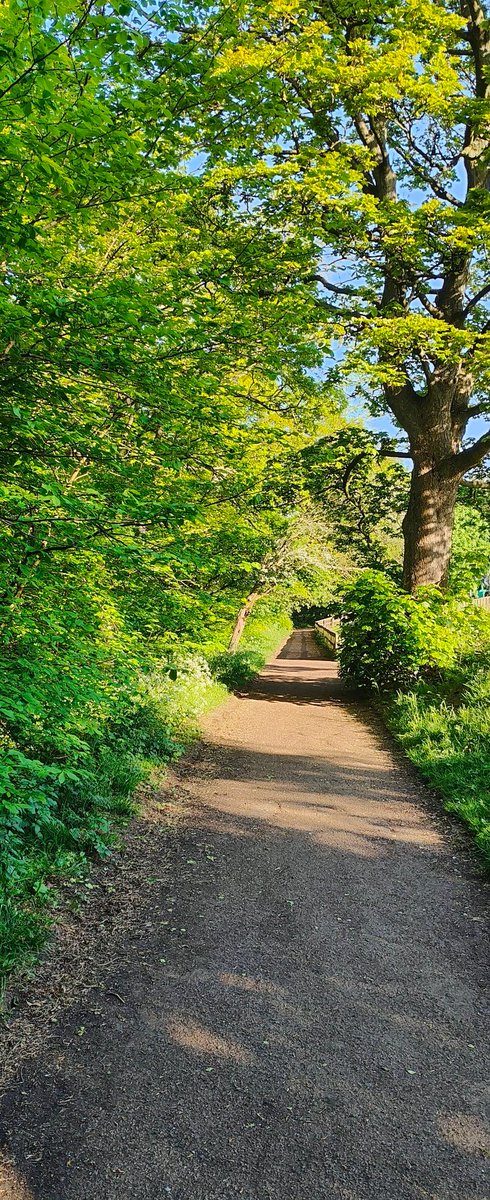 Jesmond Dene parkrun tweet media