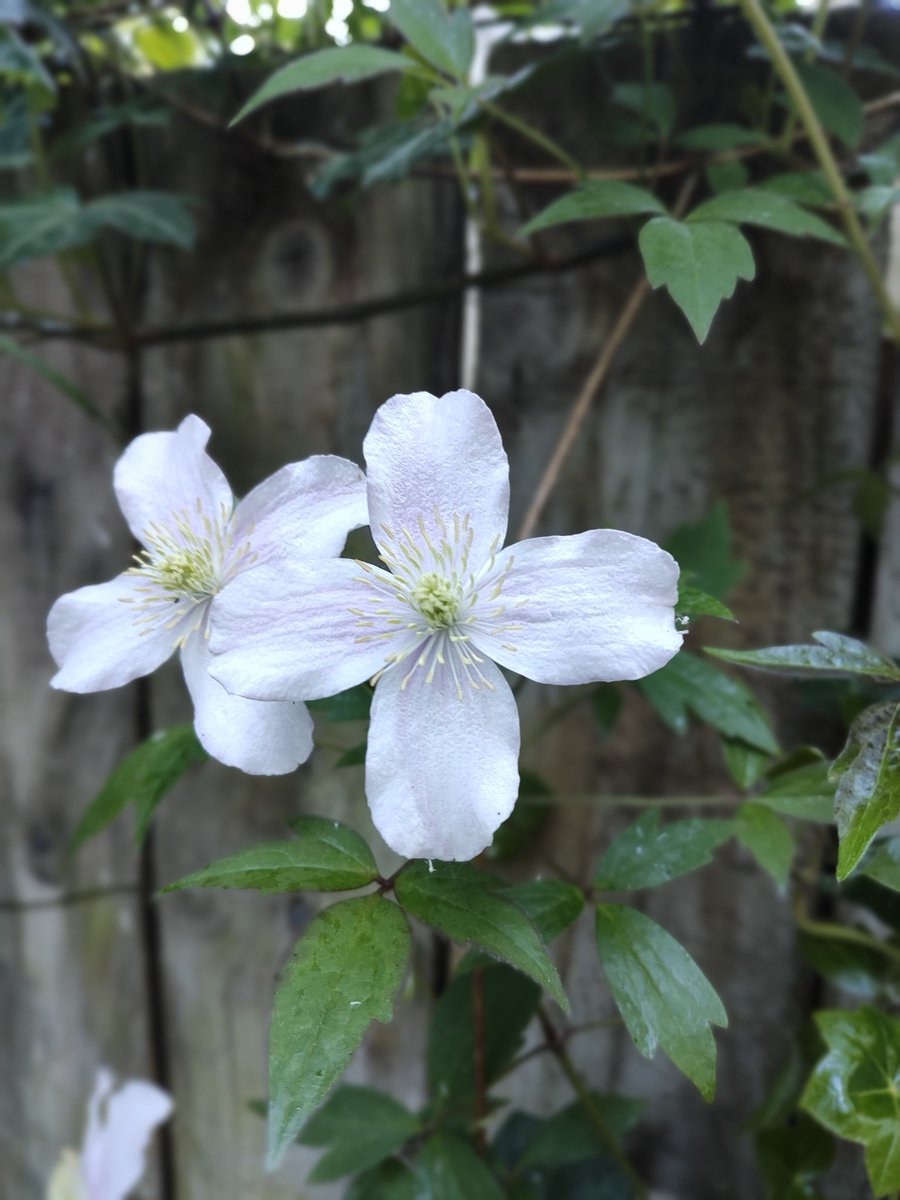 Jesmond Dene parkrun tweet media