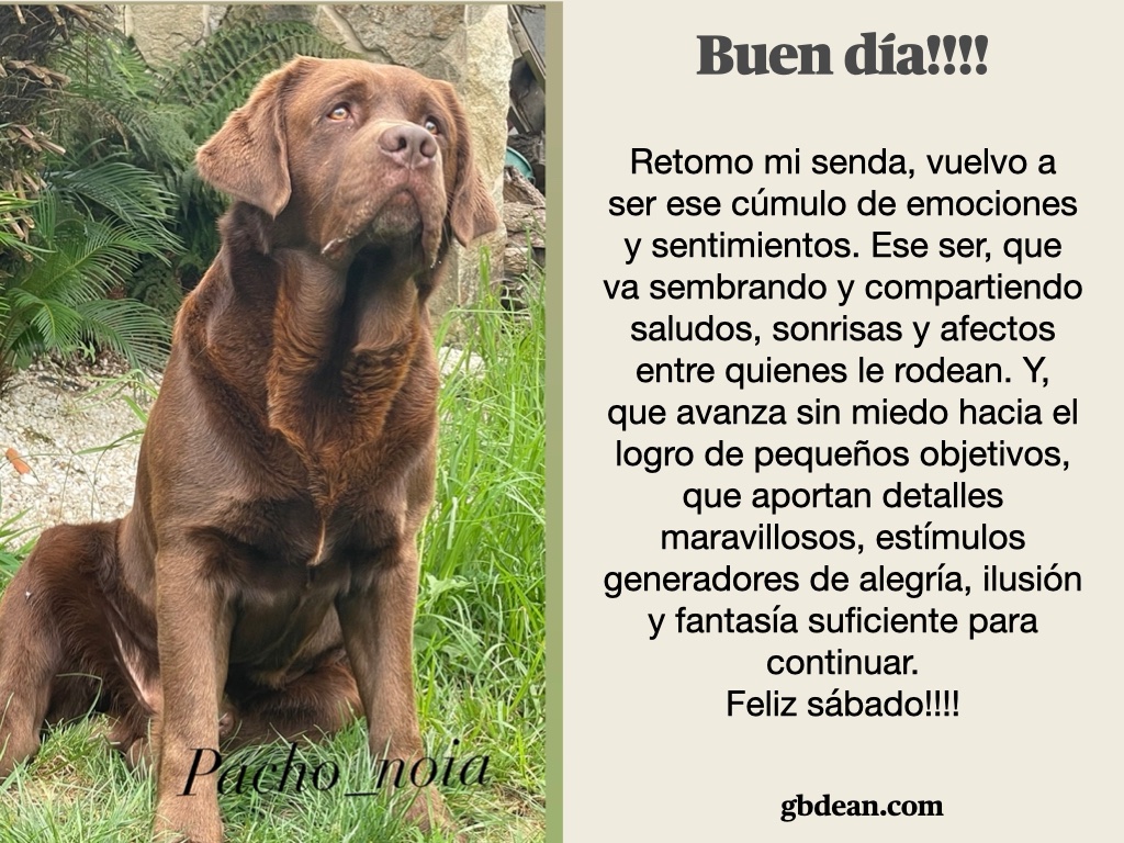 GerardoBlancoDe's tweet photo. Retomo mi senda, vuelvo a ser ese cúmulo de emociones y sentimientos. Ese ser, que va sembrando y compartiendo saludos, sonrisas y afectos con quienes le rodean. Y, que avanza sin miedo hacia el logro de pequeños objetivos, que aportan detalles maravillosos..#amor #love #fe https://t.co/SkbsTvbJ7t