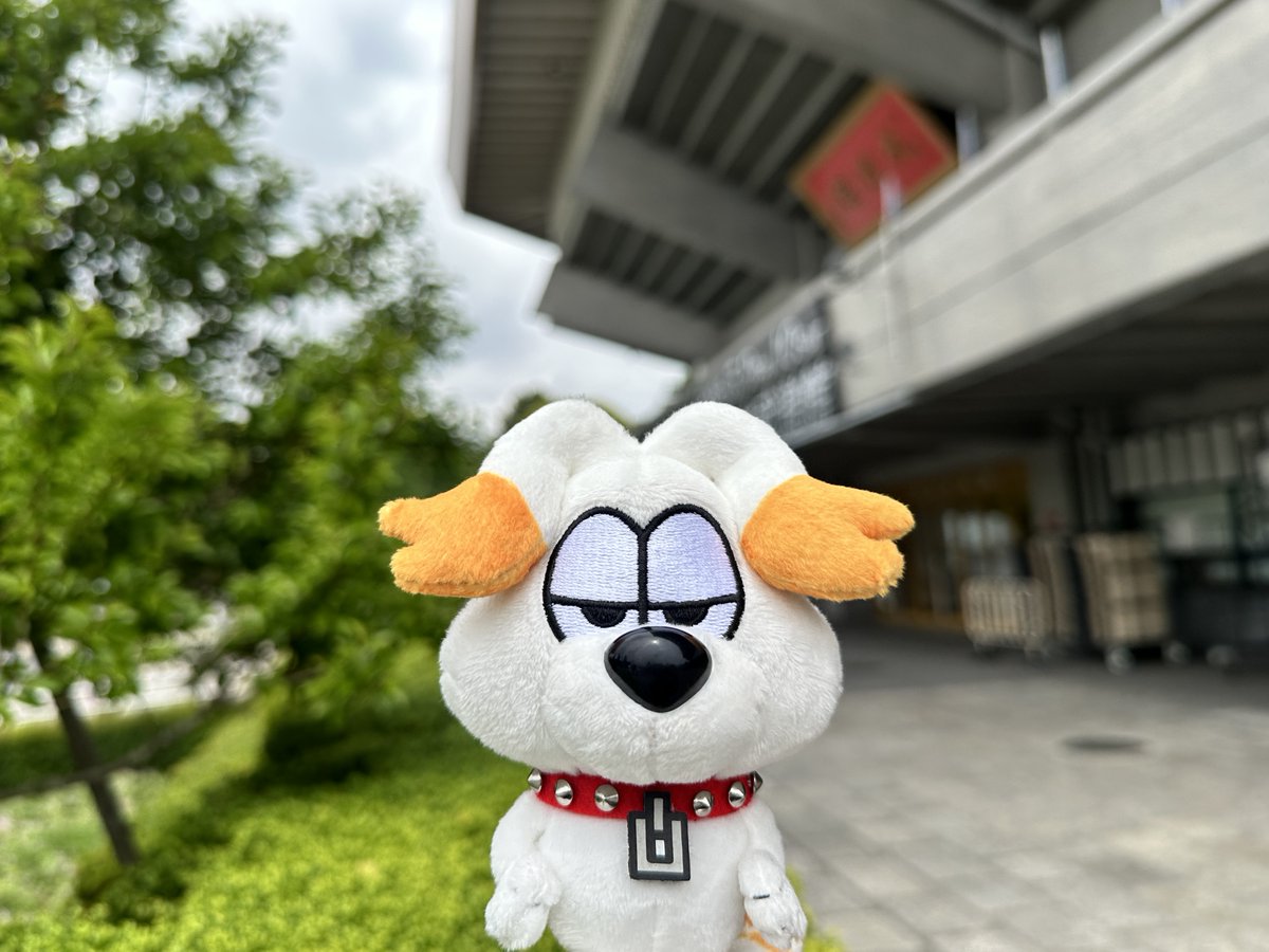 ／
TODAY🐶
『LIVE TOUR 2025 ||:ONE N' ONLY:||』日本武道館公演
＼

春ツアーファイナル日本武道館公演DAY2☀️

本日の公演の模様はU-NEXTにて見放題独占ライブ配信があります‼️
🔗one-n-only.jp/news/news31717/

#SWAG の皆さま、かけがえのない瞬間を繋いでいきましょう🤍

#ワンエン #ONENONLY