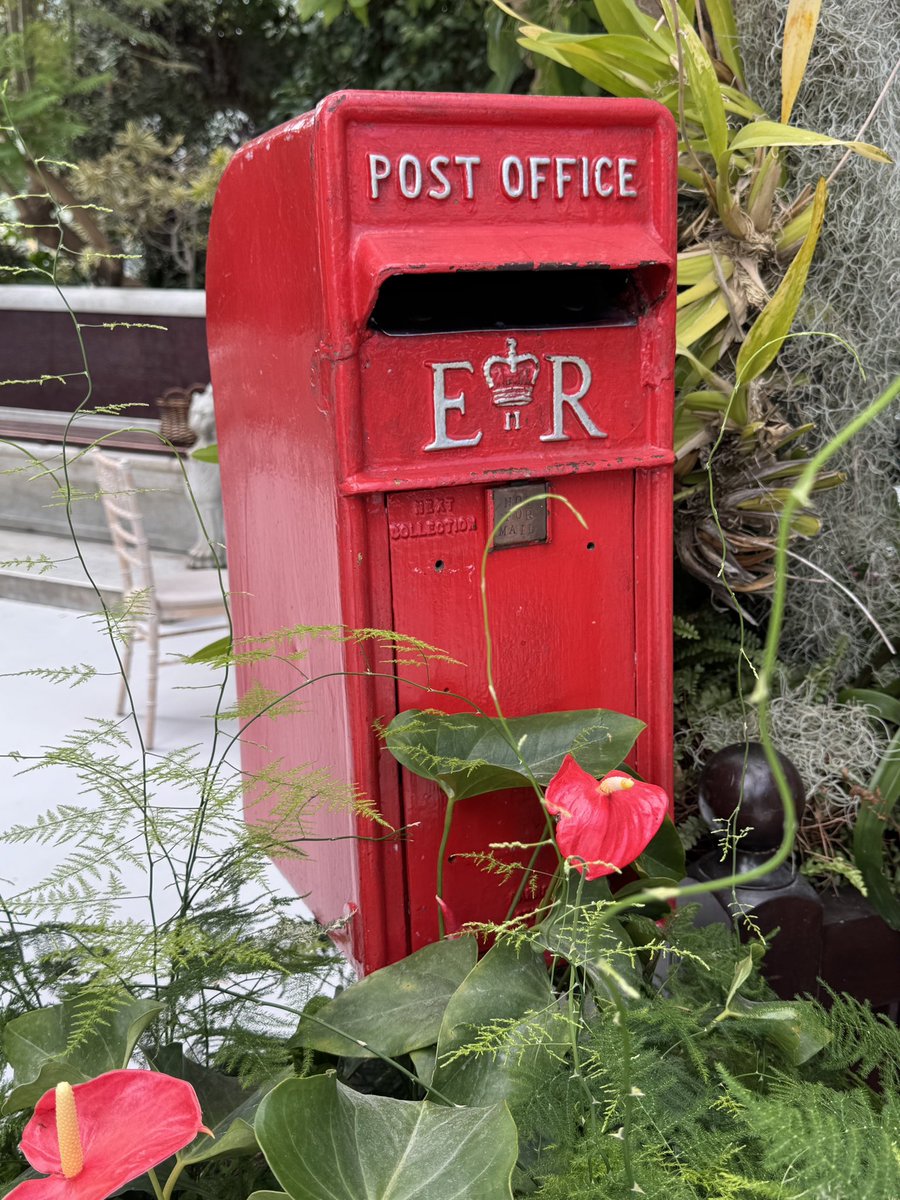 Sam Bannister 💙💛 (@sambanphoto) on Twitter photo A visit to <a href="/The_Palmhouse/">SeftonPark PalmHouse</a> and saw this post box surrounded by lovely flowers 🌺
#PostBoxSaturday A visit to <a href="/The_Palmhouse/">SeftonPark PalmHouse</a> and saw this post box surrounded by lovely flowers 🌺
#PostBoxSaturday