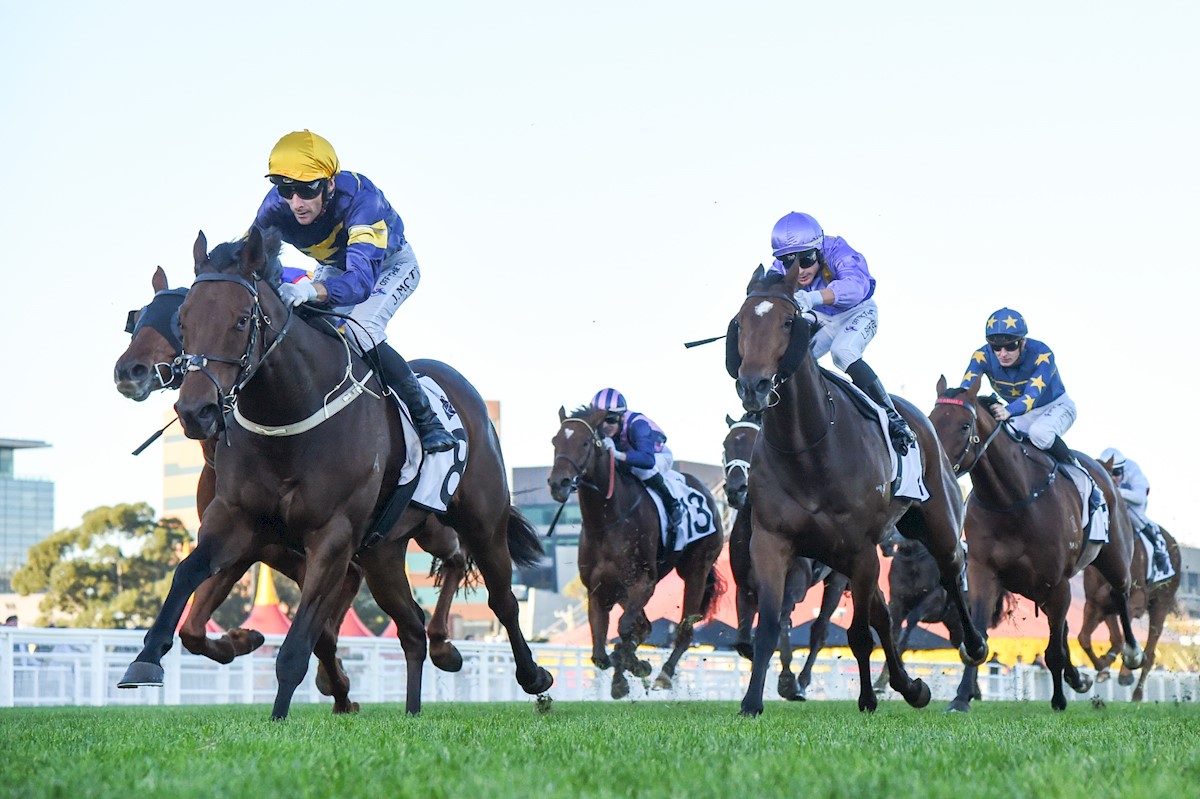 Lindsay Park Racing (@lindsayparkrace) on Twitter photo Saturday City Treble at Caulfield ๐คฉ
โญ Congratulations to <a href="/trelawneystud/">cherry Taylor</a> on their second win with the well-related Madiyya - a filly by Super Seth who is a half-sister to Grunt and Zayydani ๐ She partnered up with Luke Currie today to take out Race 4 in comfortable style ๐ช
โญ Saturday City Treble at Caulfield ๐คฉ
โญ Congratulations to <a href="/trelawneystud/">cherry Taylor</a> on their second win with the well-related Madiyya - a filly by Super Seth who is a half-sister to Grunt and Zayydani ๐ She partnered up with Luke Currie today to take out Race 4 in comfortable style ๐ช
โญ