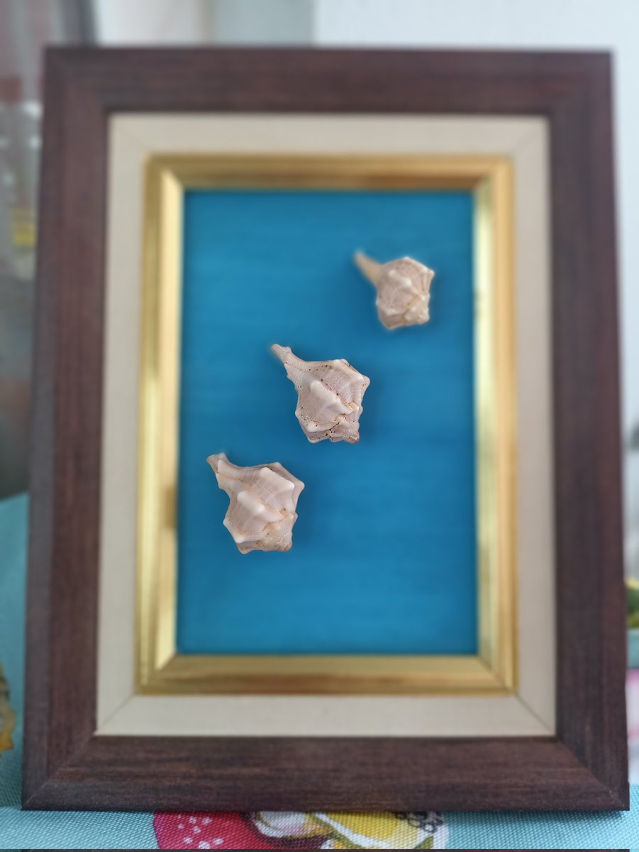 Ekateri74082035's tweet photo. Yesterday we created a cool frame with rare seashells on a bright blue background. I really liked this experiment.
Our shop: https://t.co/isldxnmd2D
#seashellart #coastaldecor #handmadehome #oceanvibes #beachdecor #craftingjoy #seashellframe https://t.co/9OKvuVQqdU