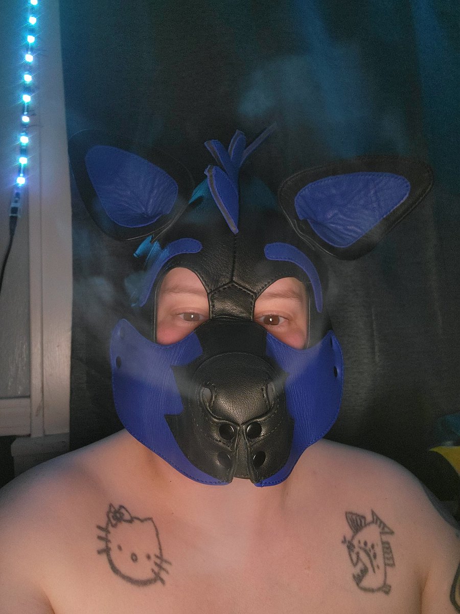 Toby_ChaseDK tweet picture