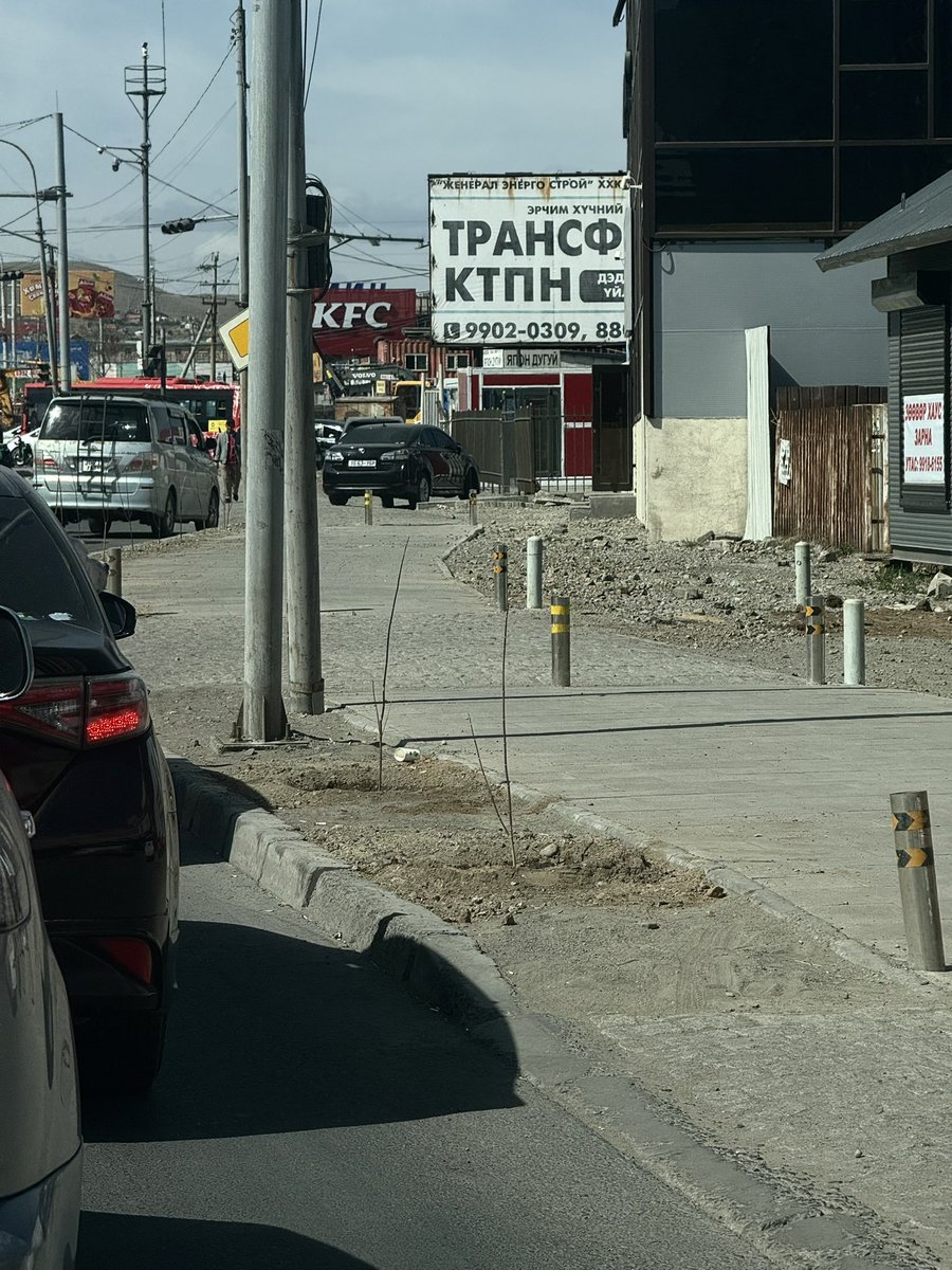 Мод тарьсан гэнээ. 32 тойрог.