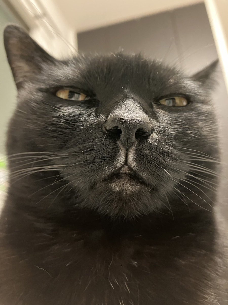 スマホのインカメで自撮りすると
こんな感じになるよね…