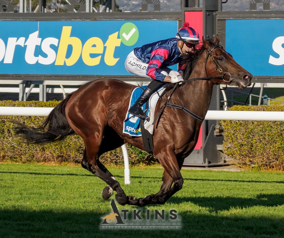 Terry Hann (@terry_hann) on Twitter photo The Sportsbet Proud Miss Stakes (Group 3) at Morphettville was won by Cleo Cat, trained by Tom Dabernig and ridden by Jordan Childs.
Photos ~ AtkinsPhotography.com.au
Pre-race photos ~ AtkinsRacing.com.au
<a href="/RacingSA/">Racing SA</a> <a href="/SAJockeyClub/">Morphettville Racecourse</a> <a href="/sportsbetcomau/">Feed Nation x Sportsbet</a> <a href="/JChilds47/">Jordan Childs</a> <a href="/dabernigracing/">Dabernig Racing</a> The Sportsbet Proud Miss Stakes (Group 3) at Morphettville was won by Cleo Cat, trained by Tom Dabernig and ridden by Jordan Childs.
Photos ~ AtkinsPhotography.com.au
Pre-race photos ~ AtkinsRacing.com.au
<a href="/RacingSA/">Racing SA</a> <a href="/SAJockeyClub/">Morphettville Racecourse</a> <a href="/sportsbetcomau/">Feed Nation x Sportsbet</a> <a href="/JChilds47/">Jordan Childs</a> <a href="/dabernigracing/">Dabernig Racing</a>