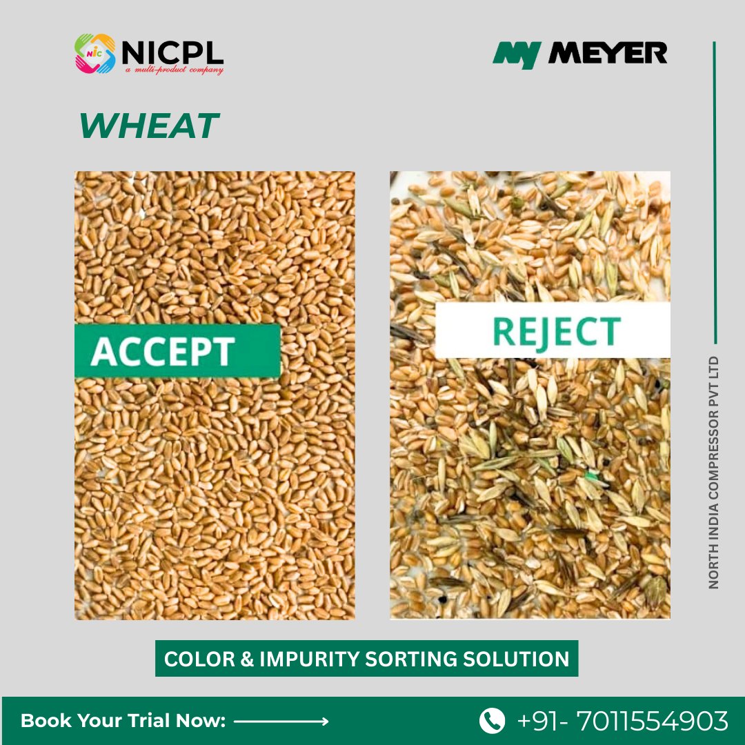 N_I_C_P_L's tweet image. 🚫 Tired of impurities ruining your wheat quality?

✅ Meet the game-changer: MEYER Color Sorter by NICPL

📲 Book your free trial today: +91-7011554903

#WheatProcessing #ColorSortingTech #NICPL #MeyerColorSorter #QualityMatters