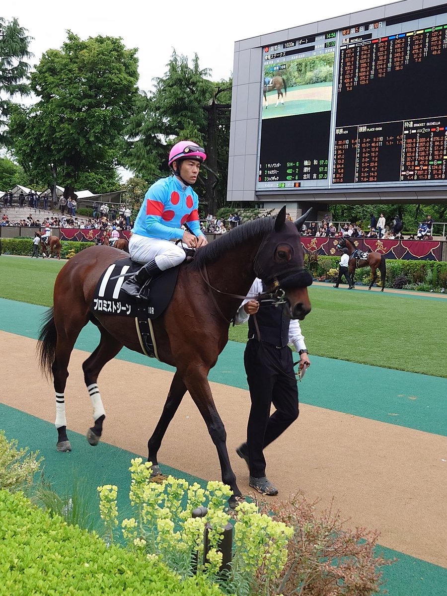 shuichwachao's tweet image. こんにちは☀️
約3か月ぶりの現地競馬観戦🐴
東京10R
#青竜ステークス に出走した、自分の出資馬
#プロミストジーン は、2着でした🥈
??「おっと・・・プロミストジーン、ダッシュがつきません、最後方からです」
う〜ん、今日は、負けるべくして負けてしまったかな😓
次こそは✊
#一口馬主