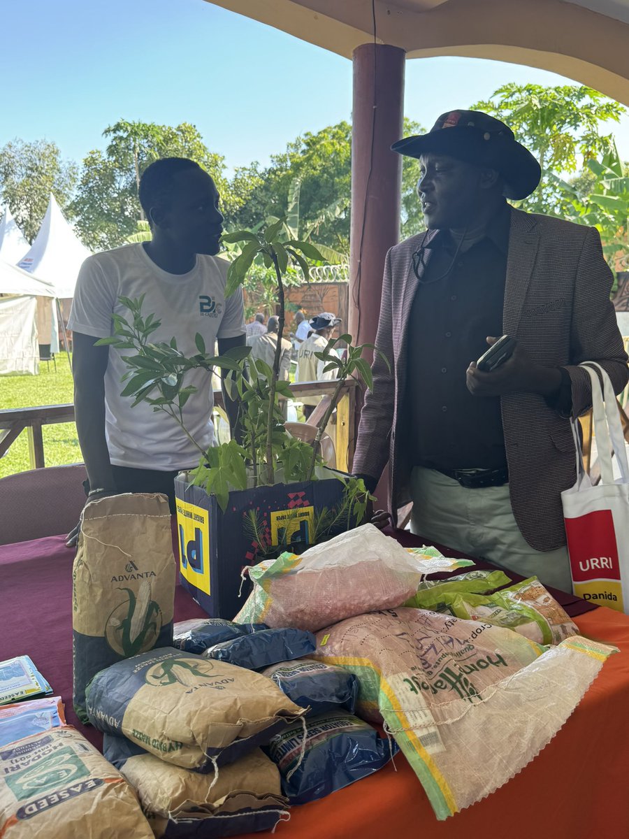 URRI_Danida's tweet image. #URRI is creating livelihoods & unlocking opportunity for refugees and host communities 🤝
At the Adjumani & Lamwo launch, we showcased local businesses helping farmers thrive—with better seeds, irrigation & training—building lasting, climate-smart resilience 👩🌾🌱