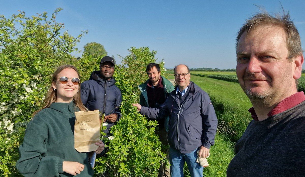 wheatpath's tweet image. Our week of #Puccinia graminis sampling on #Berberis around Dijon for the #FSOV project @semae_officiel &quot;RouilleNoire_2.0&quot; ended on a high note with the presence of Fabio Mascher &amp;amp; Wycliff Magowa #HAFL 🇨🇭!