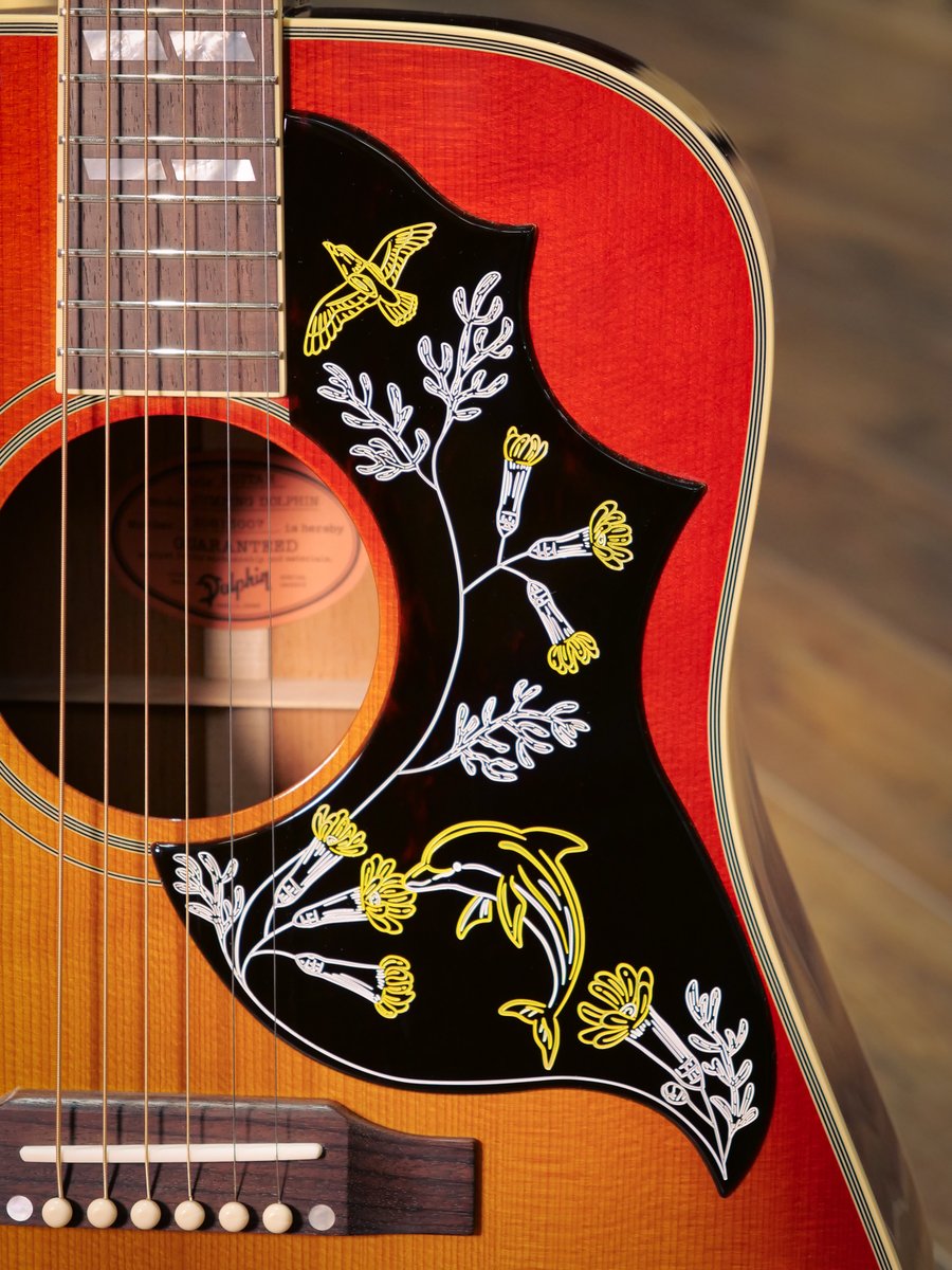 ドルフィンギターズ on X